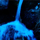 Water Flower