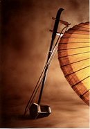 Chinese violin