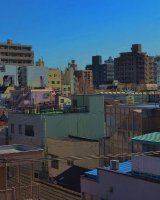 A peaceful city view