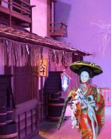 Fuji girl in a cheerful mood 2