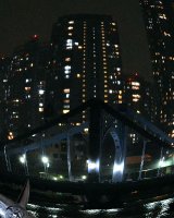 March 11 2011