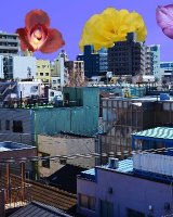 Neighborhood