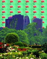 Promised you a rose garden
