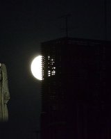 The holiness in moon light 1