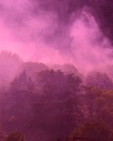 Pink landscape 1