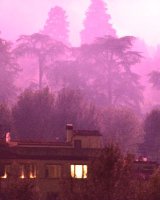 Pink landscape 2