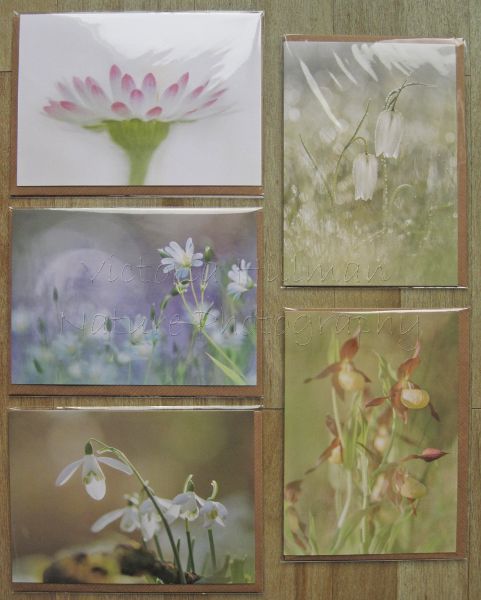 Forgotten Little Creatures Wildflowers