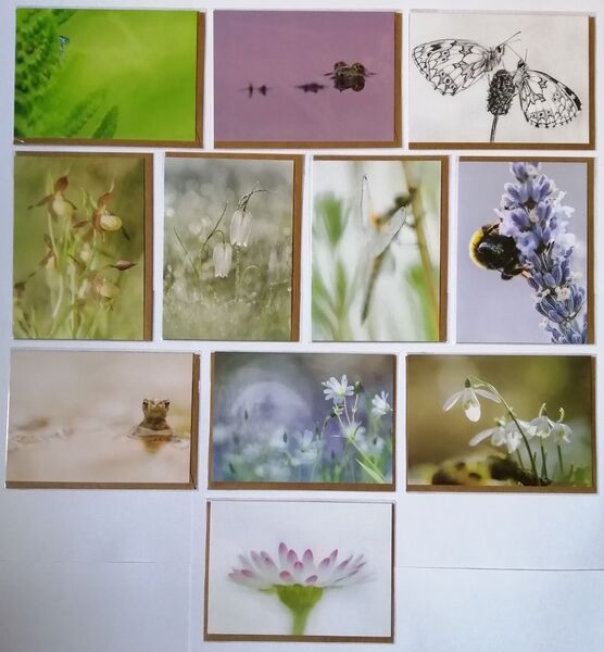 Forgotten Little Creatures Card Collection