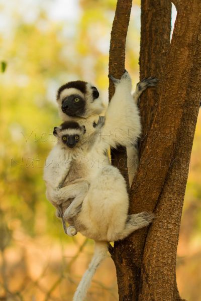 Holding Onto Mum