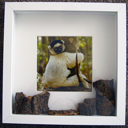 Lemur
