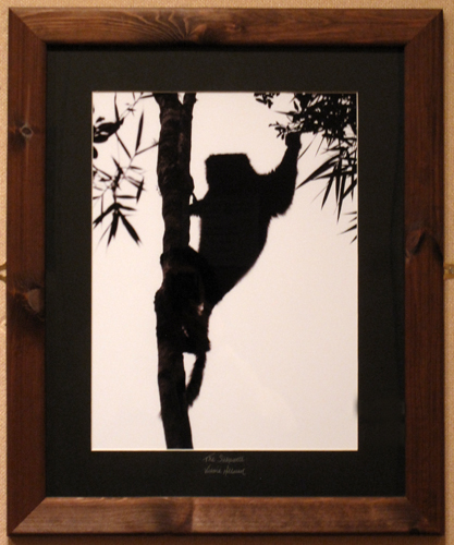 The Silhouette