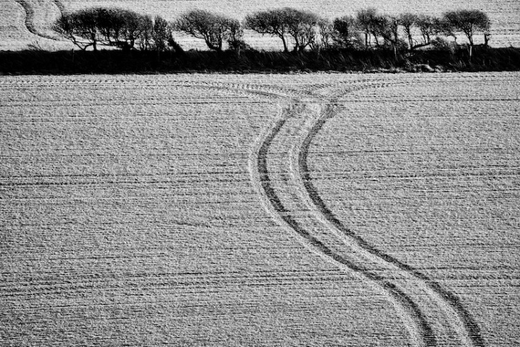 farmland tracks