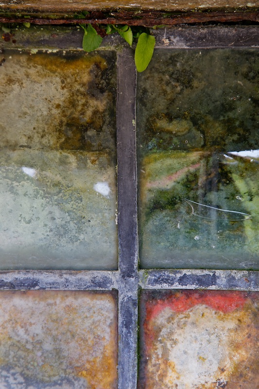 106-nature & window normandy