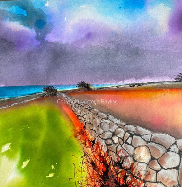 Penwith Fields ~ SOLD