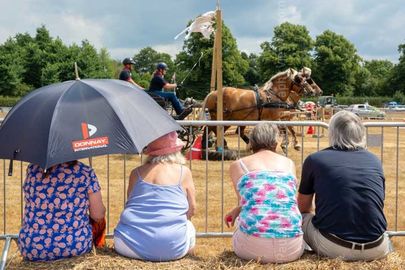 Fordingbridge Festival 2018