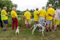 Fordingbridge Festival 2018