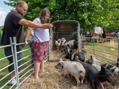 Fordingbridge Festival 2018