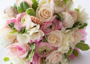 Heaven at The Haven wedding photographer Fordingbridge New Forest