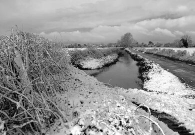 Snow at Avon Valley, Burgate