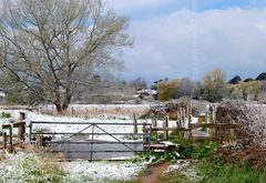 Late Winter Snowfall at Burgate. 20" x 16" incl. mount. Fordingbridge New Forest print snow Burgate farmhouse