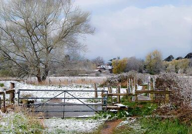 Avon Valley at Burgate