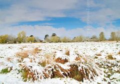 April Snow Fordingbridge New Forest print snow fields April