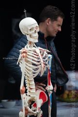 EL18-138 Ellingham Ringwood Show 2018