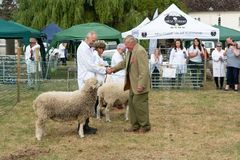 EL18-15 Ellingham Ringwood Show 2018