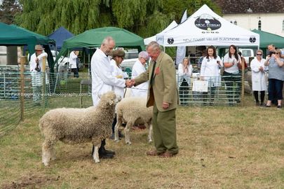 EL18-15 Ellingham Ringwood Show 2018