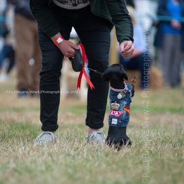 Ellingham and Ringwood Show 2018 Ellingham Ringwood Show 2018