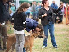EL18-168 Ellingham Ringwood Show 2018