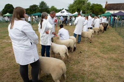 Ellingham and Ringwood Show 2018 Ellingham Ringwood Show 2018
