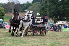 EL18-182 Ellingham Ringwood Show 2018