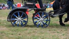 EL18-186 Ellingham Ringwood Show 2018