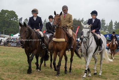 Ellingham and Ringwood Show 2018 Ellingham Ringwood Show 2018