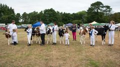 EL18-24 Ellingham Ringwood Show 2018
