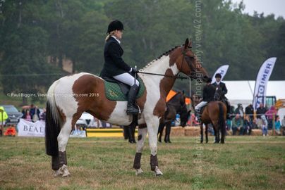 EL18-259 Ellingham Ringwood Show 2018
