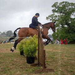 EL18-268 Ellingham Ringwood Show 2018
