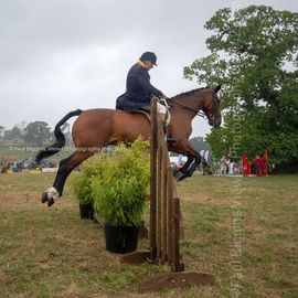 Ellingham and Ringwood Show 2018 Ellingham Ringwood Show 2018