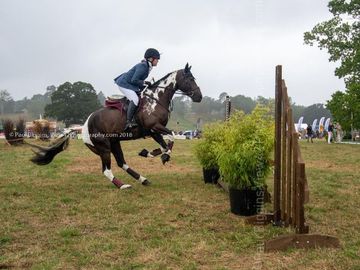 Ellingham and Ringwood Show 2018 Ellingham Ringwood Show 2018