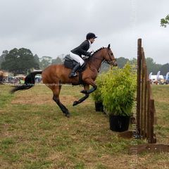 EL18-272 Ellingham Ringwood Show 2018