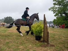 EL18-274 Ellingham Ringwood Show 2018