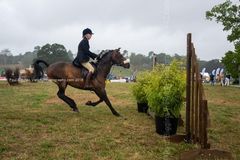 EL18-277 Ellingham Ringwood Show 2018