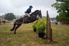 EL18-280 Ellingham Ringwood Show 2018