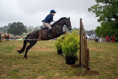 EL18-280 Ellingham Ringwood Show 2018