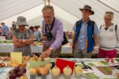 EL18-41 Ellingham Ringwood Show 2018
