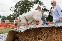 EL18-44 Ellingham Ringwood Show 2018