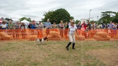 EL18-68 Ellingham Ringwood Show 2018