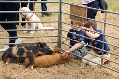 EL18-6 Ellingham Ringwood Show 2018