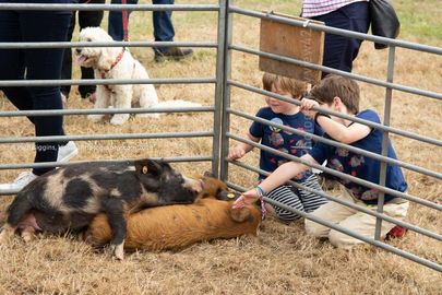 EL18-6 Ellingham Ringwood Show 2018